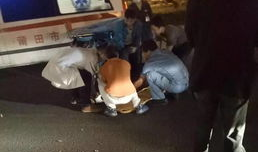 车祸吃瓜网,揭秘车祸背后的惊人真相