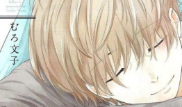 爱情漫画大全完结,甜蜜回忆与美好结局
