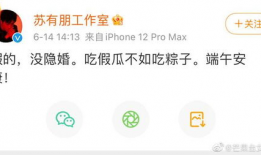 吃瓜网不能登录了,揭秘背后原因及解决方案”