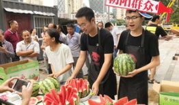 朝阳在线吃瓜网,揭秘娱乐圈最新热点，带你领略幕后故事