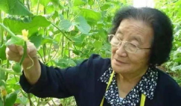 管家娘子吃瓜人书包网,揭秘人书包网背后的故事