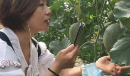 网红带货吃瓜搞笑视频,吃瓜搞笑视频盘点