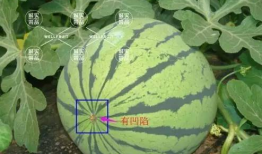 吃瓜网必看大瓜今,今日热点事件盘点