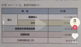 网红资源吃瓜群lsp,LSP背后的秘密与争议