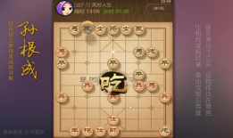 辽宁吃瓜象棋直播官网,揭秘象棋直播新潮流