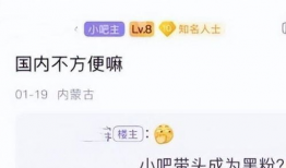 国外吃瓜爆料软件叫什么,揭秘“瓜界”风云变幻