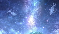 星空动漫网,探索无限动漫世界，尽享视觉盛宴