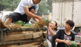吃瓜网 热心朝阳市民,传递正能量